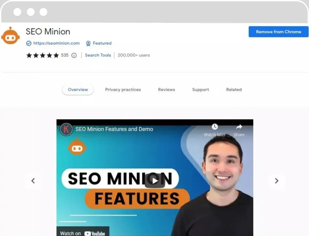 SEO Minion